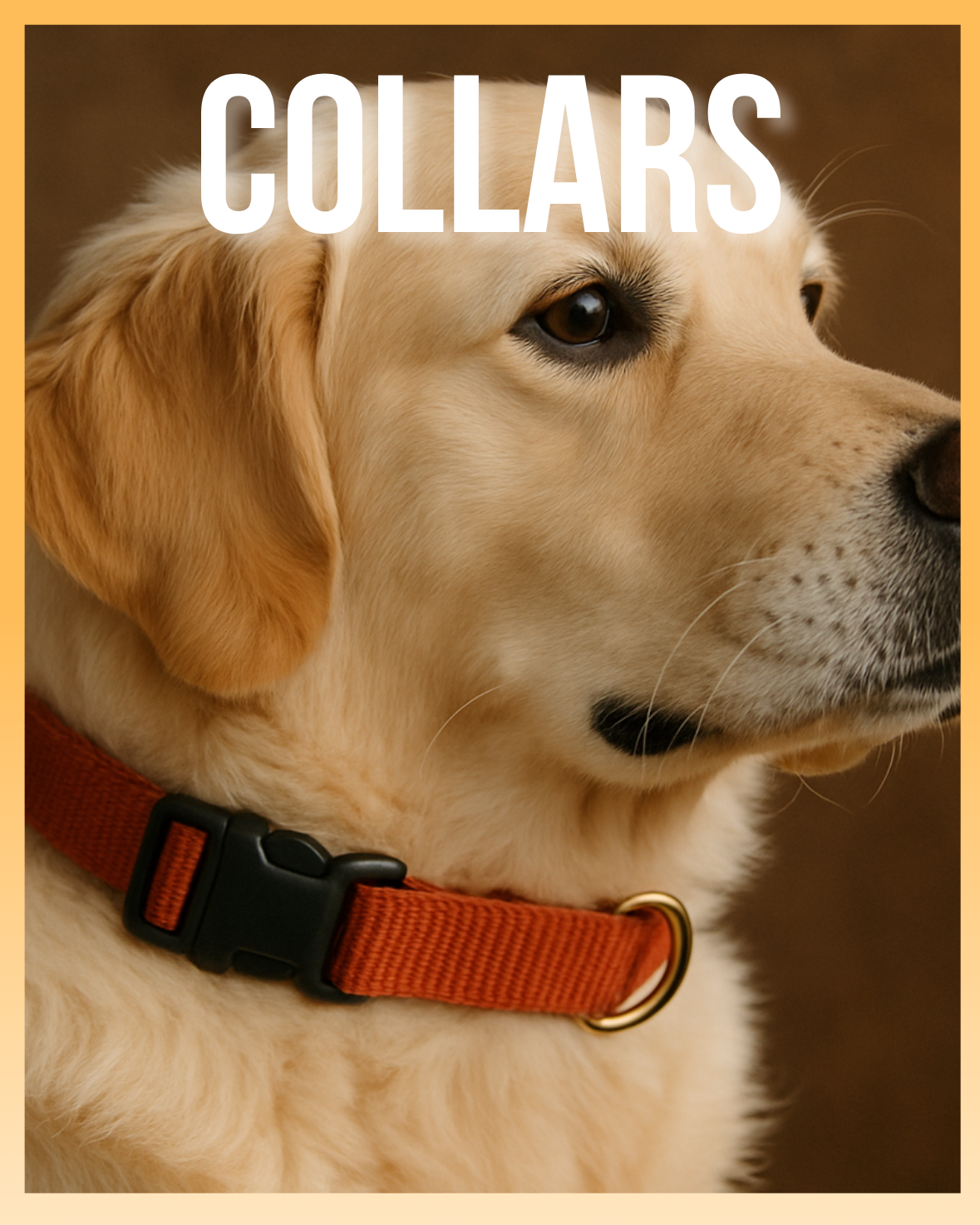 COLLARS