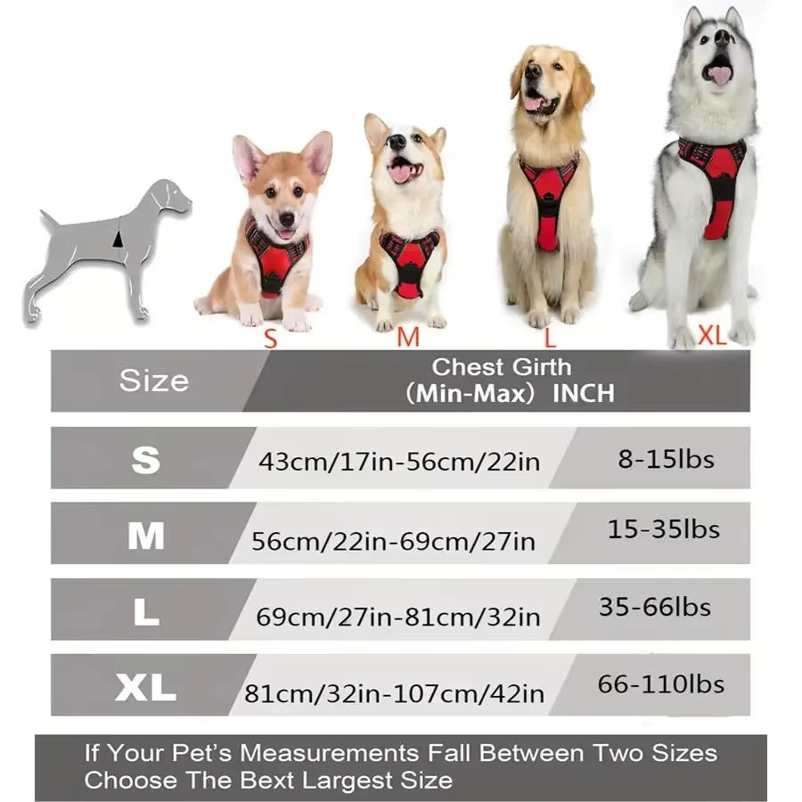 Dog Collar Harness.