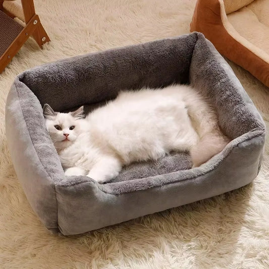 Cat Cushions