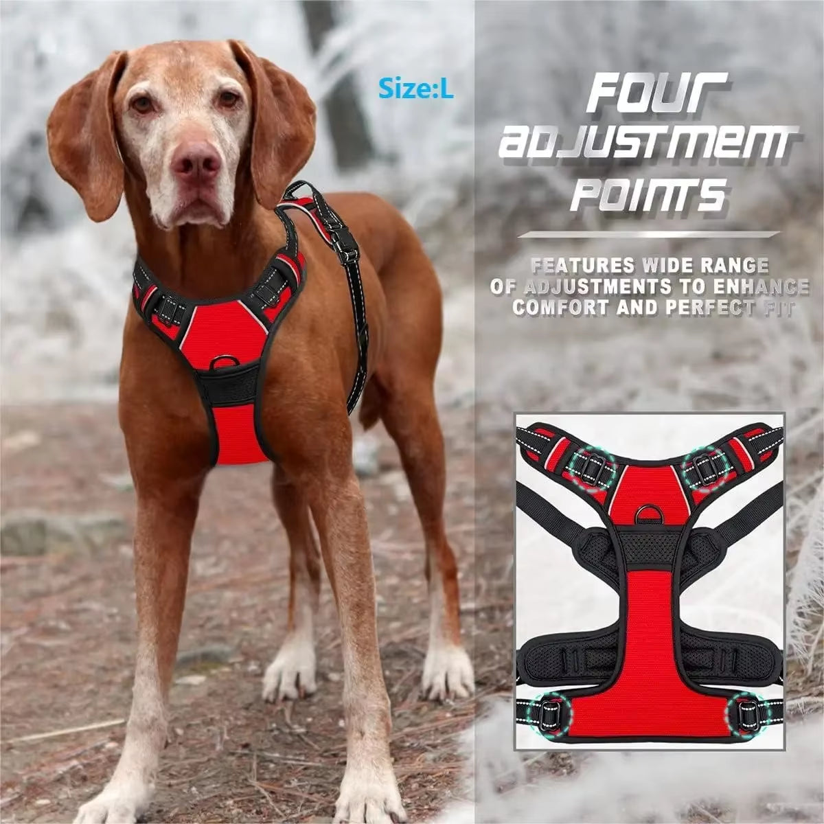 Dog Collar Harness.