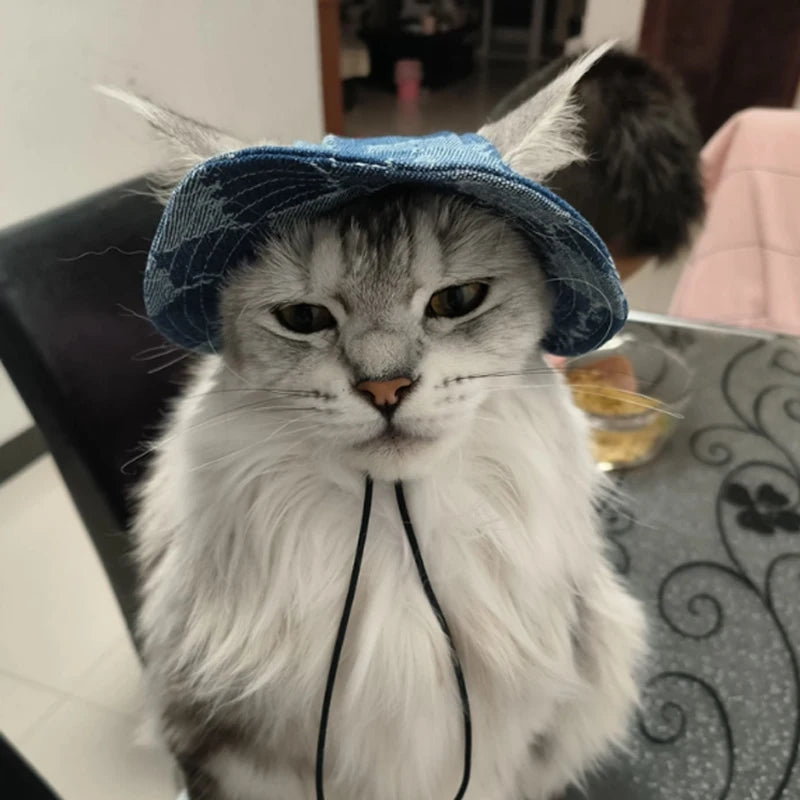 Pet Hat For Dogs & Cats