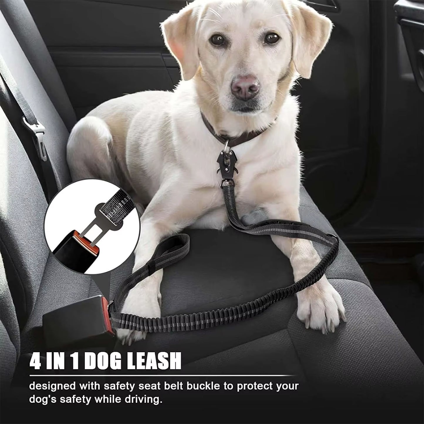 Shock Absorbing Pet Leashe with Car Seatbelt for Large Dog