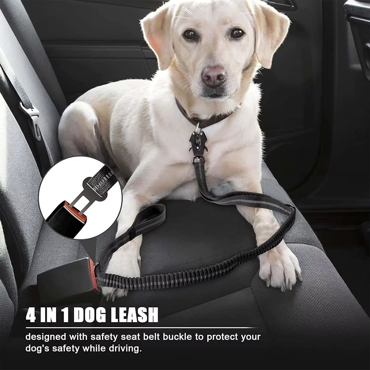 Shock Absorbing Pet Leashe with Car Seatbelt for Large Dog