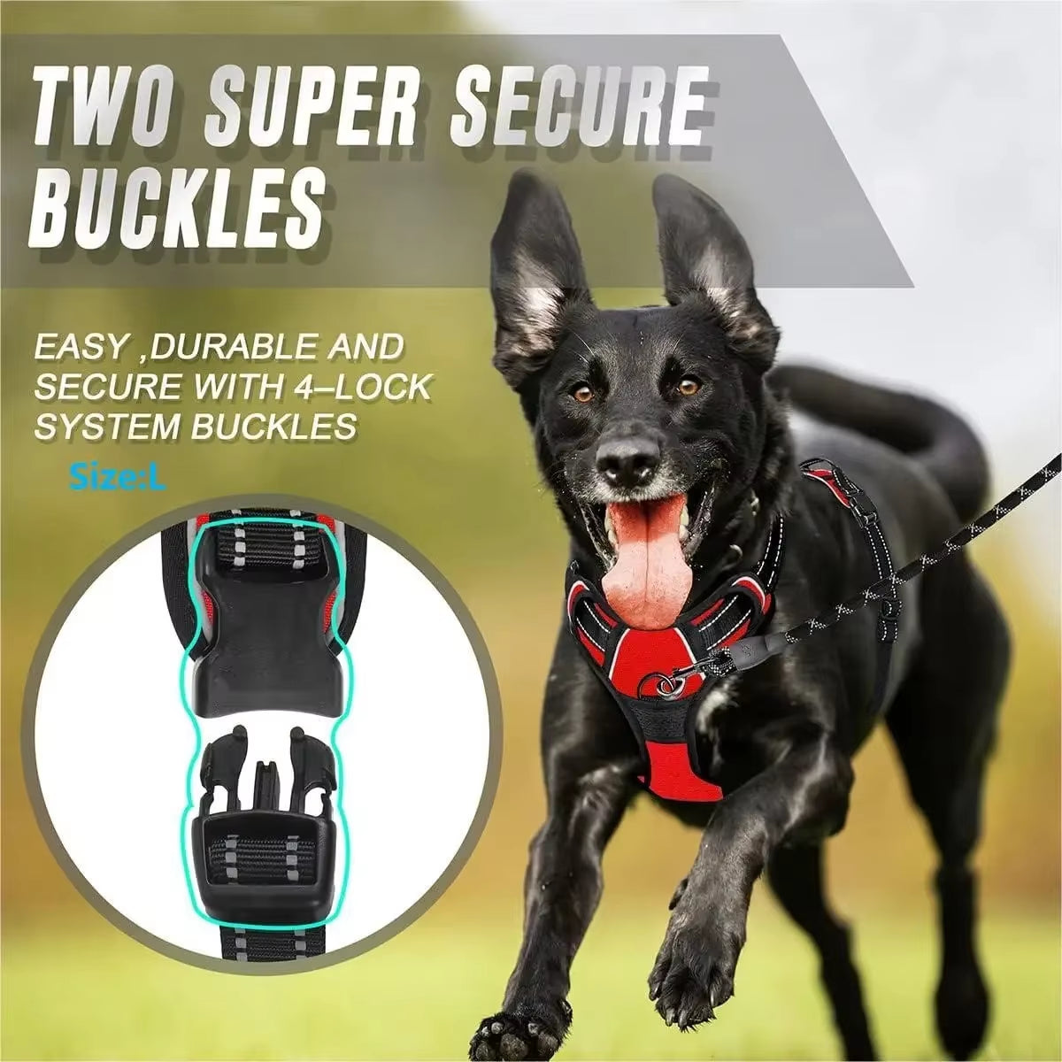 Dog Collar Harness.