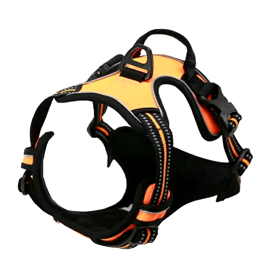 Dog Collar Harness.
