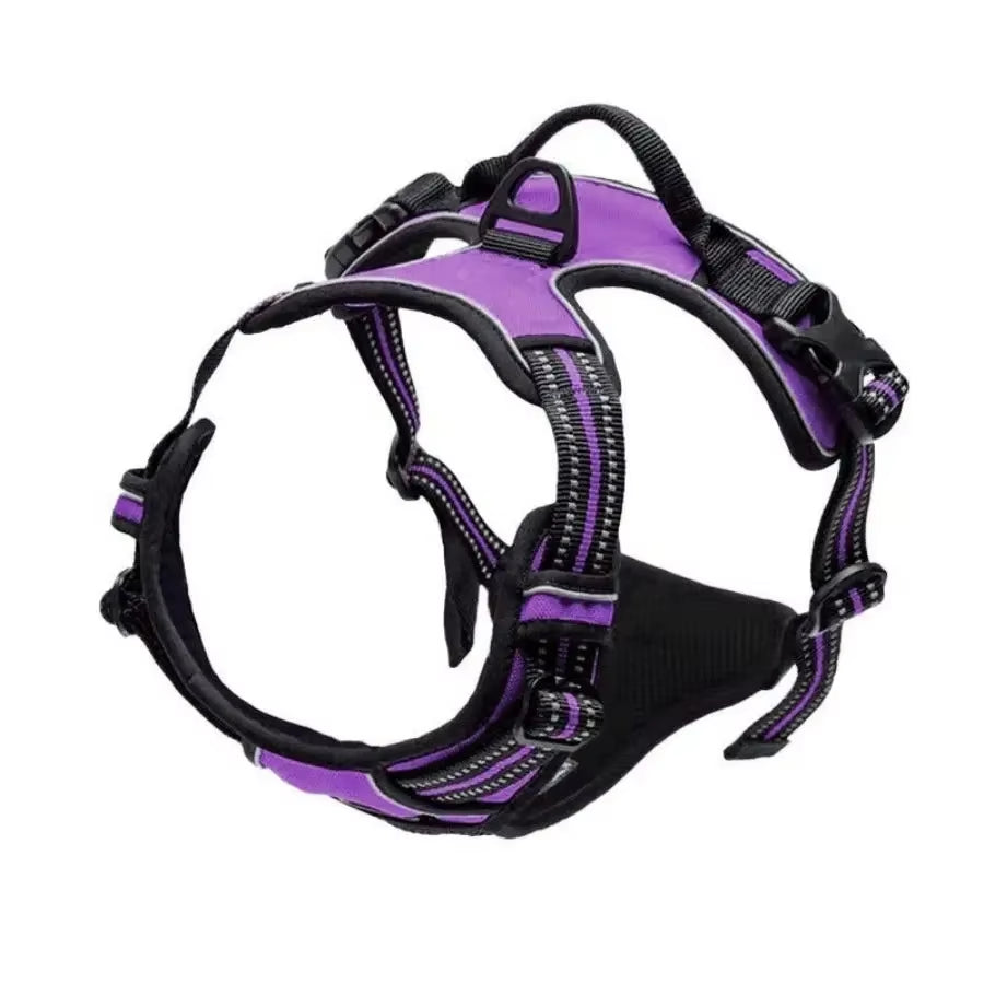 Dog Collar Harness.