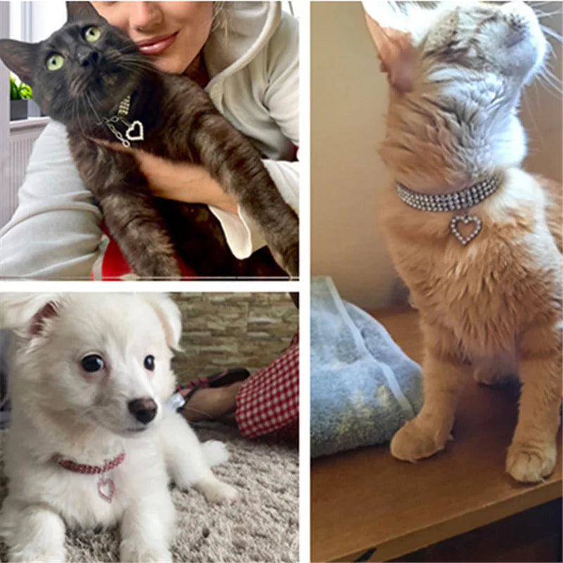 Three-Row Elastic Rhinestone Pet Collar - Decorative Necklace for Cats and Dogs