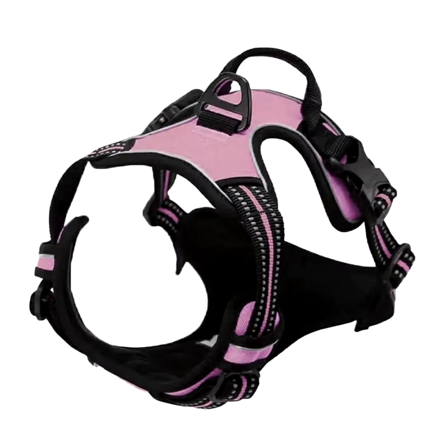 Dog Collar Harness.