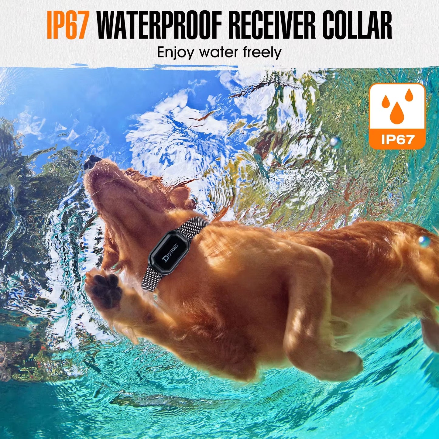 800M Digital Dog Training Collar