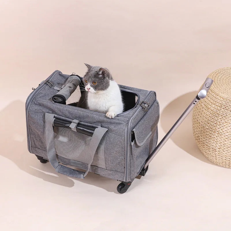 Pet Carrier for Dogs up to 7kg & Cat Airline Approved Dog Carrier