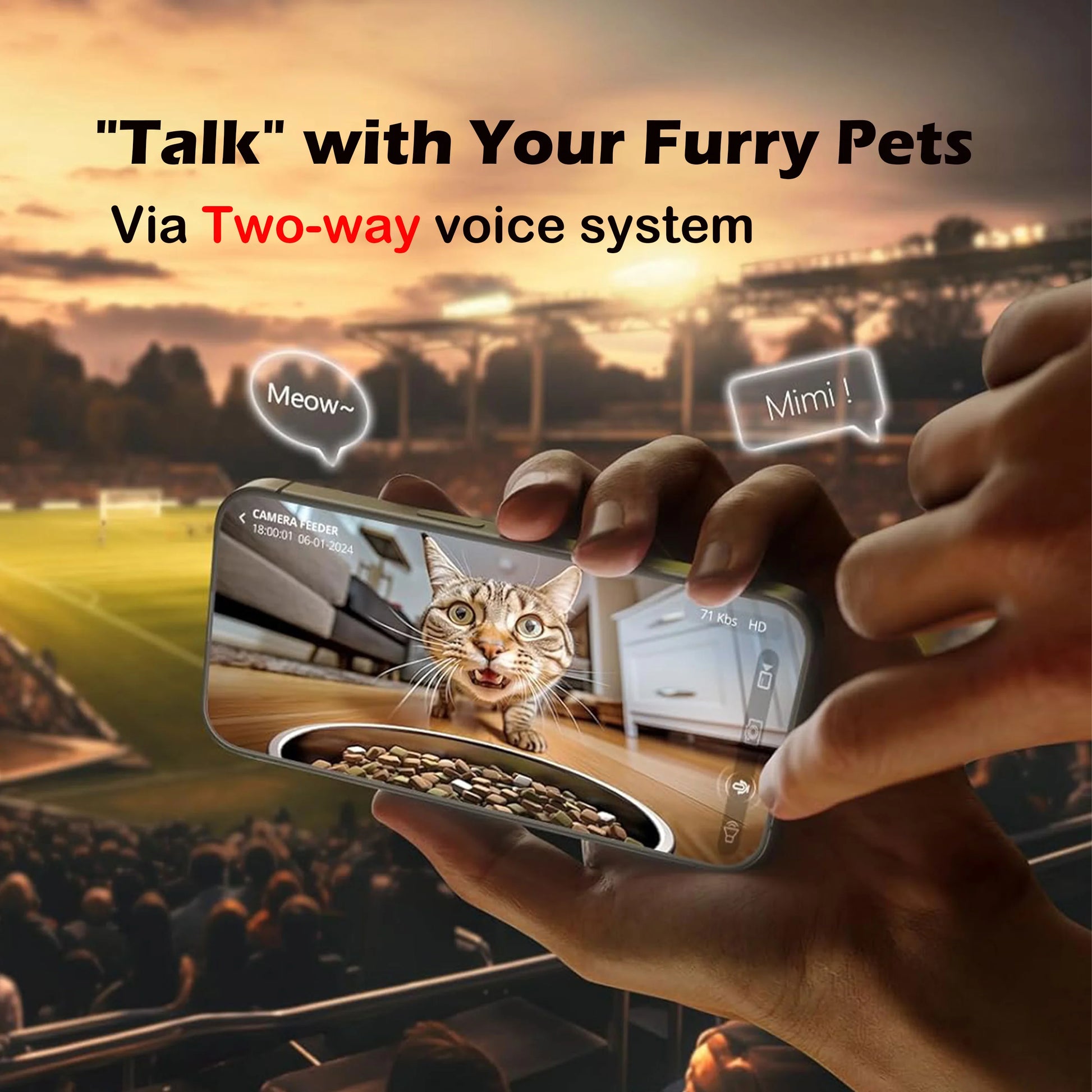 Automatic Cat Feeder with 1080P Camera Video