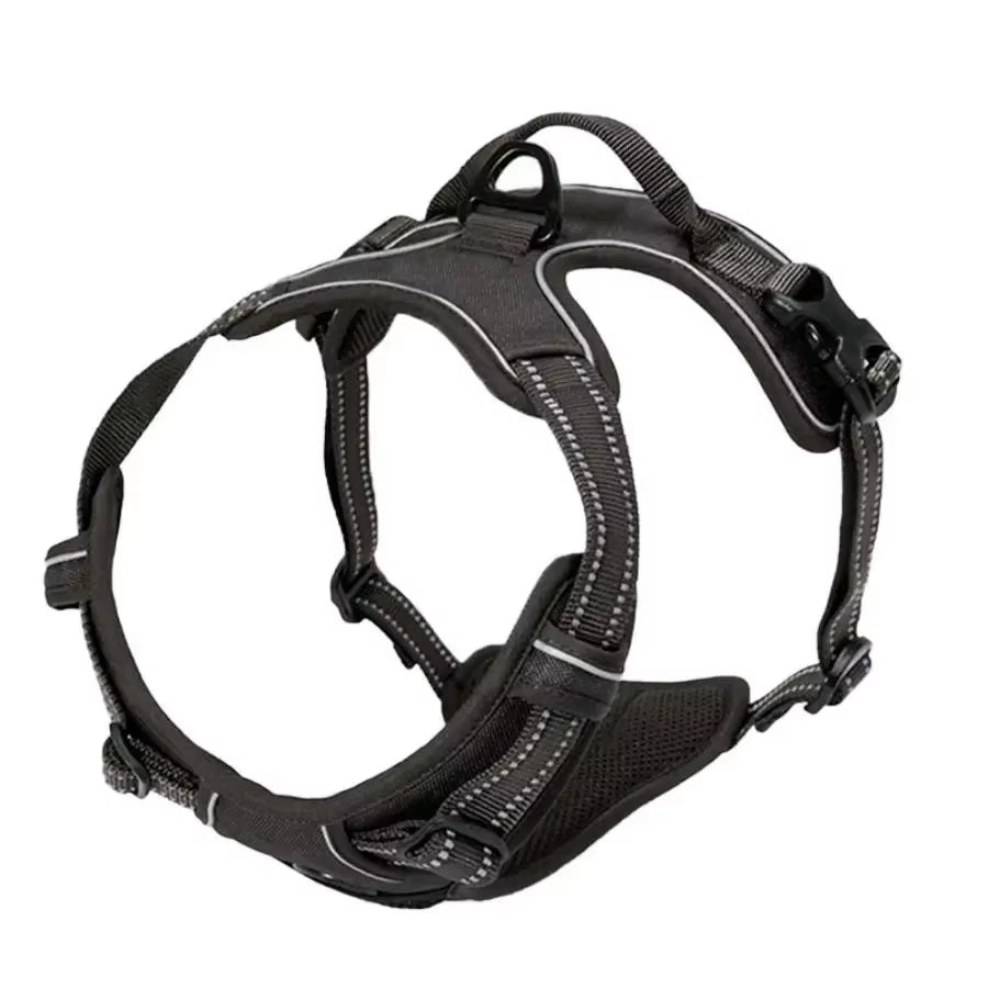 Dog Collar Harness.