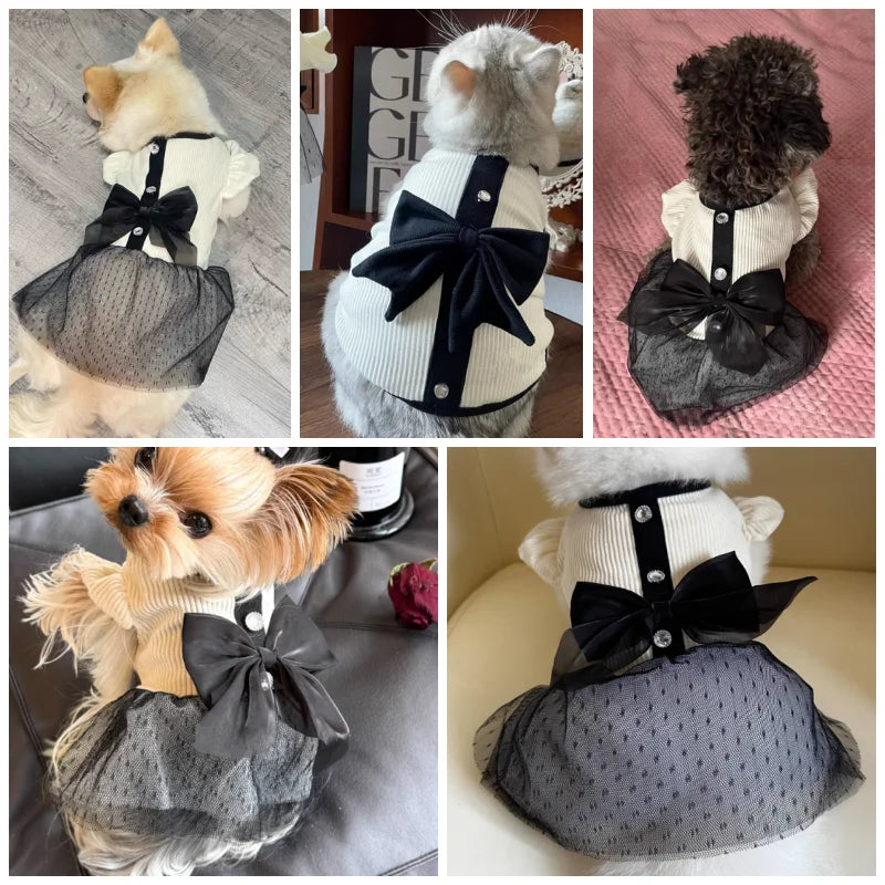 Luxury Dog Dress for Small Dogs For Summer