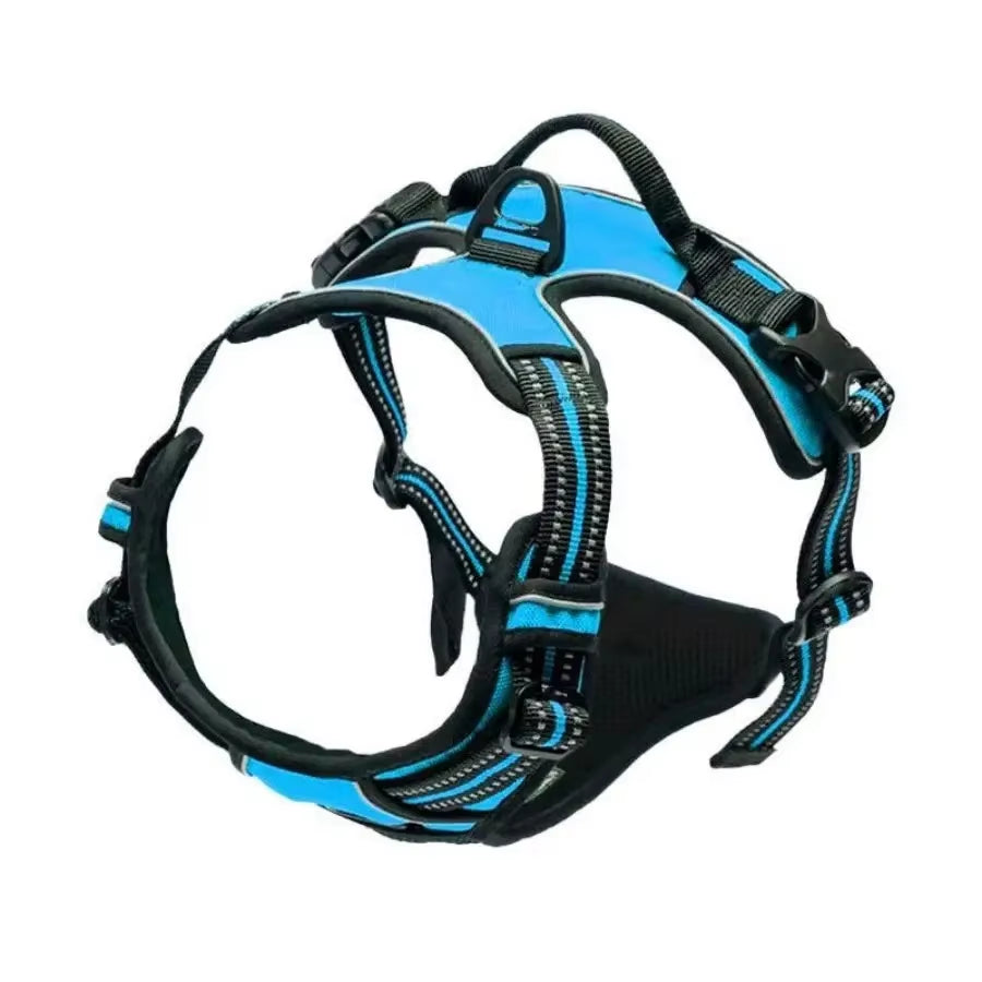 Dog Collar Harness.
