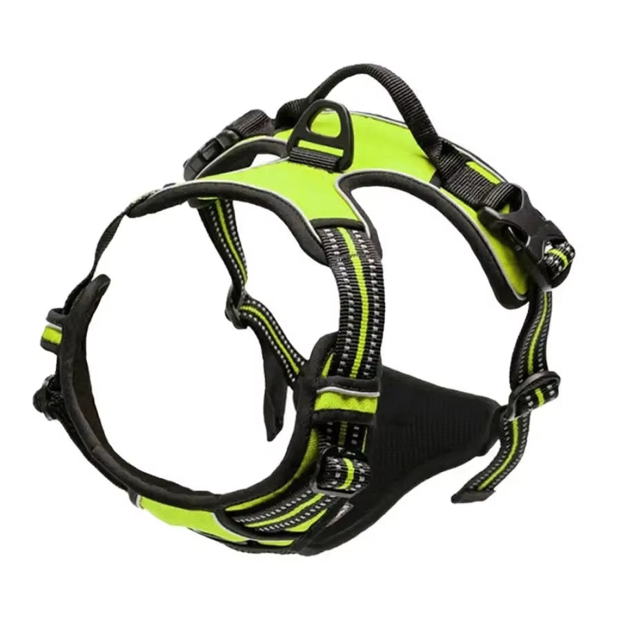 Dog Collar Harness.
