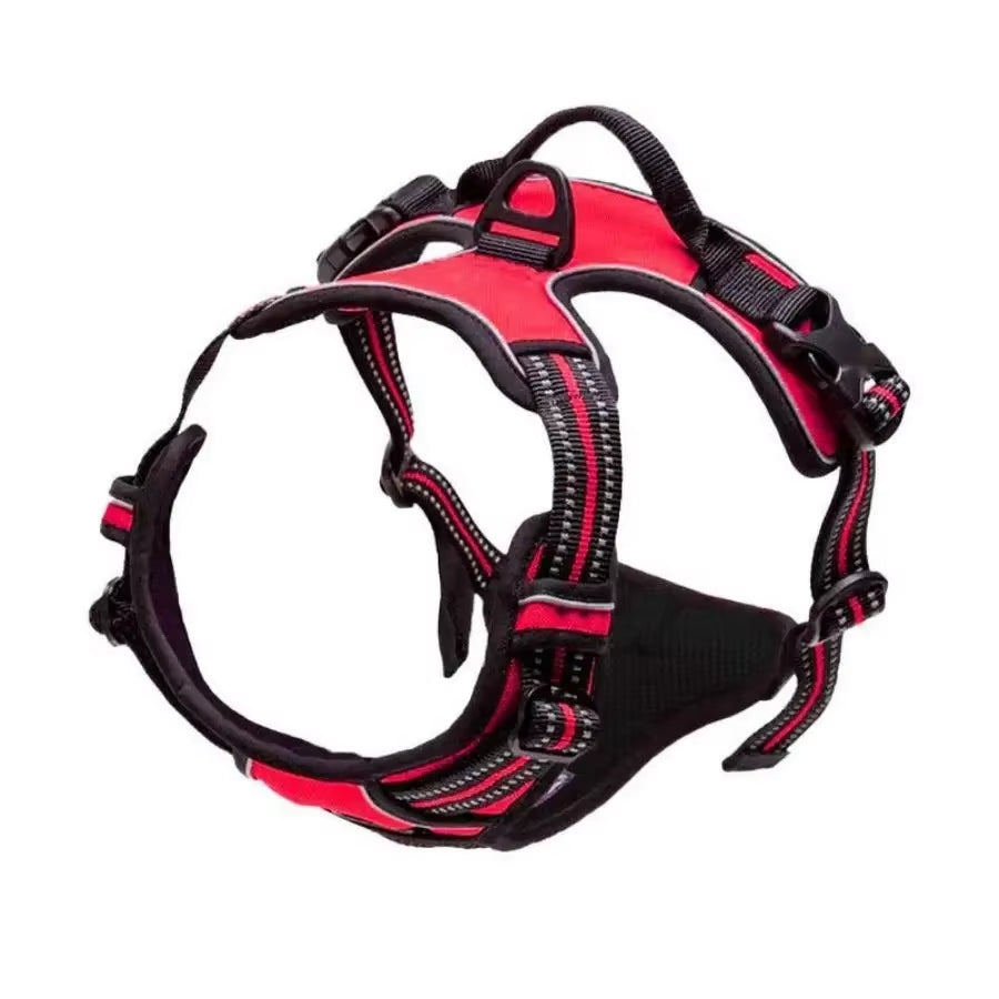 Dog Collar Harness.