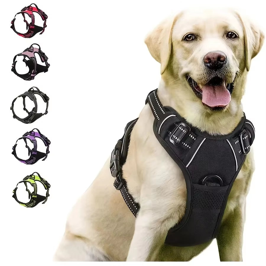 Dog Collar Harness.