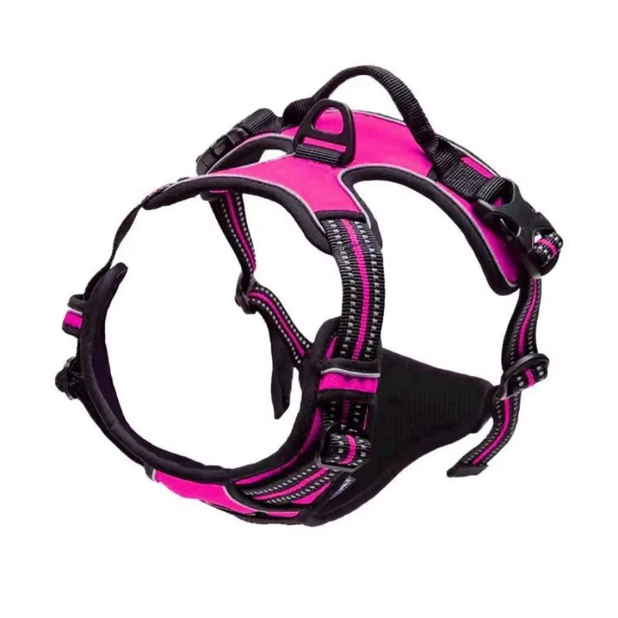 Dog Collar Harness.