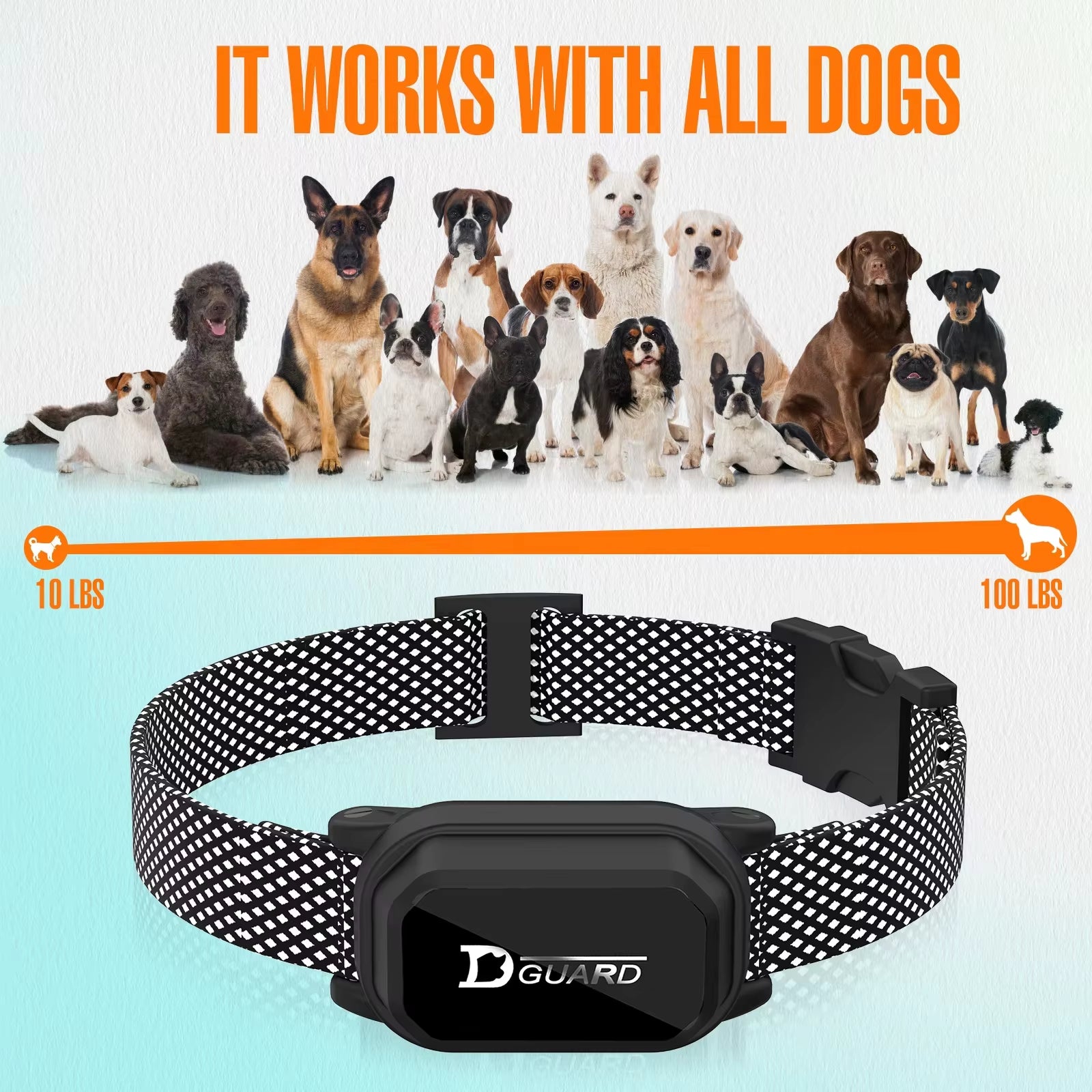 800M Digital Dog Training Collar 