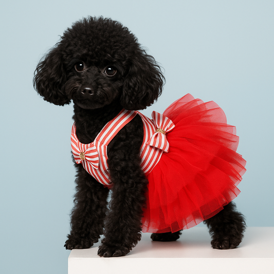 Dog Summer Dress Lace Skirt 