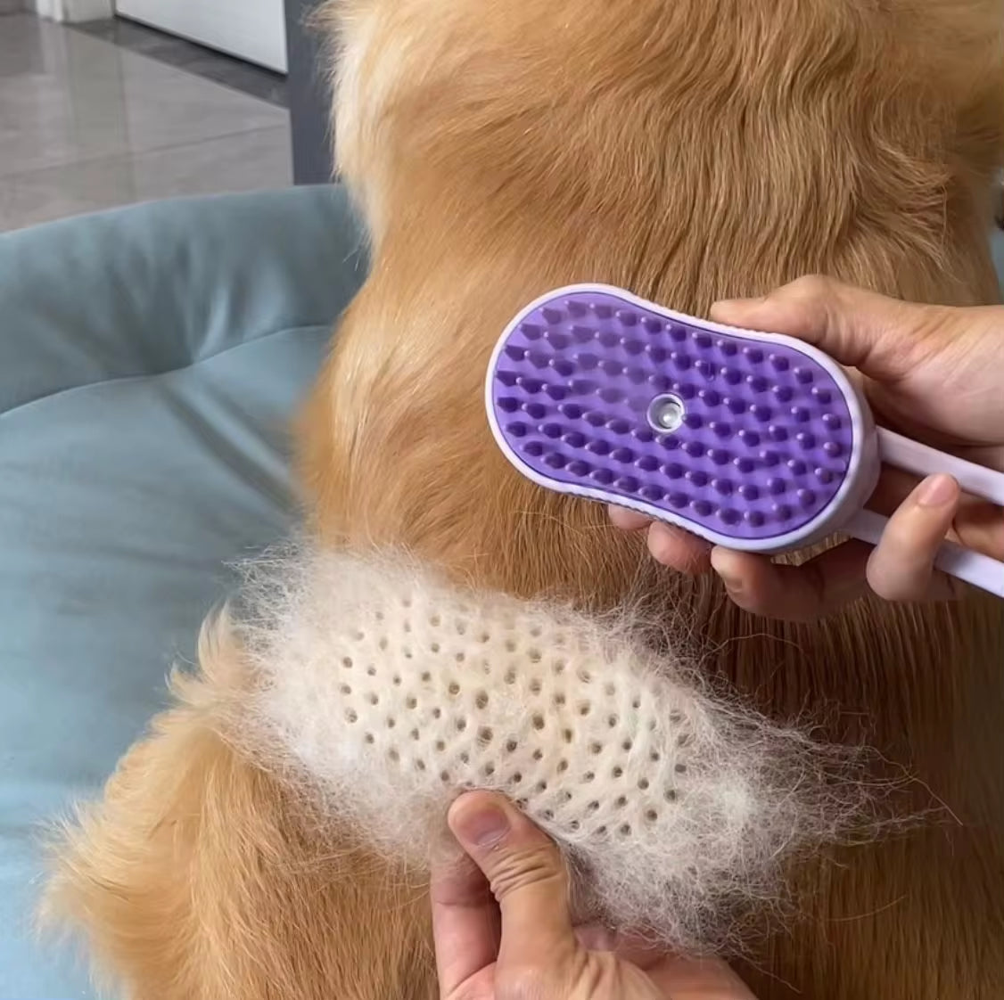 New Pet Spray Comb for Cats and Dogs 