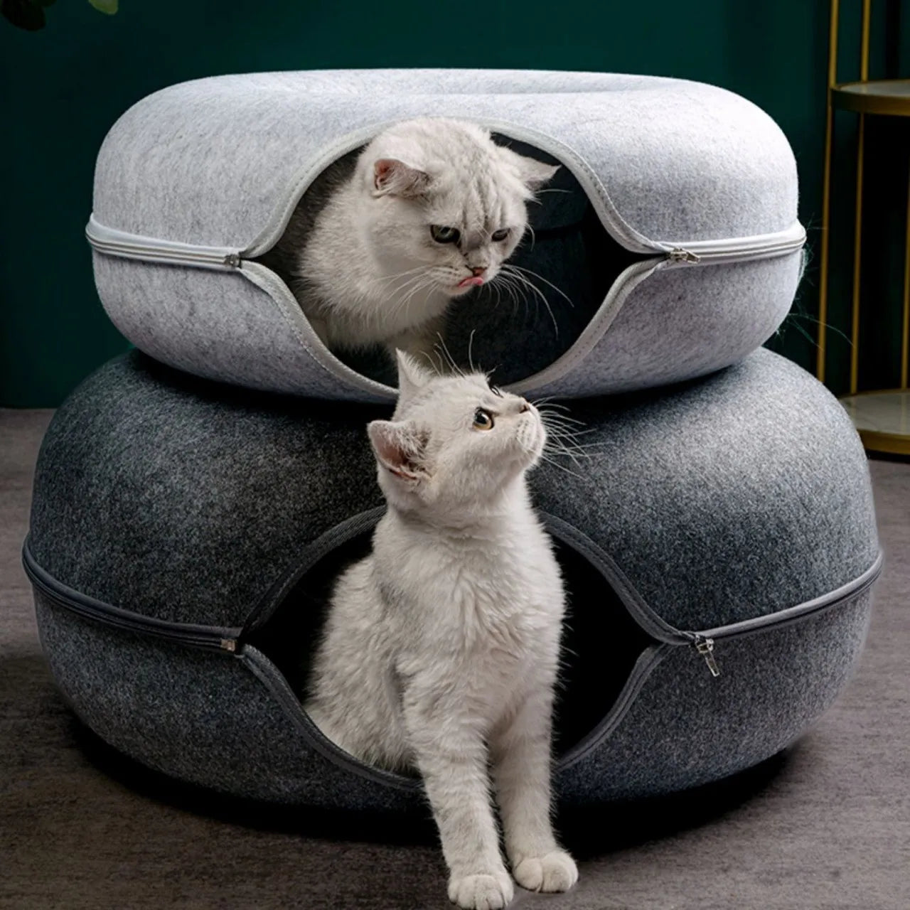 Donut Bed Interactive Tunnel For Cats