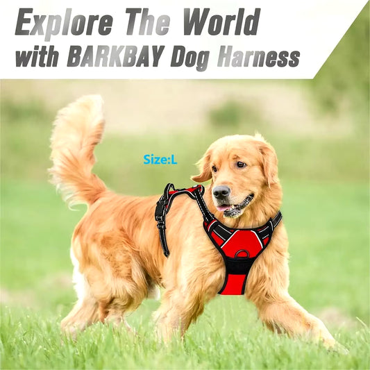 Dog Collar Harness. 
